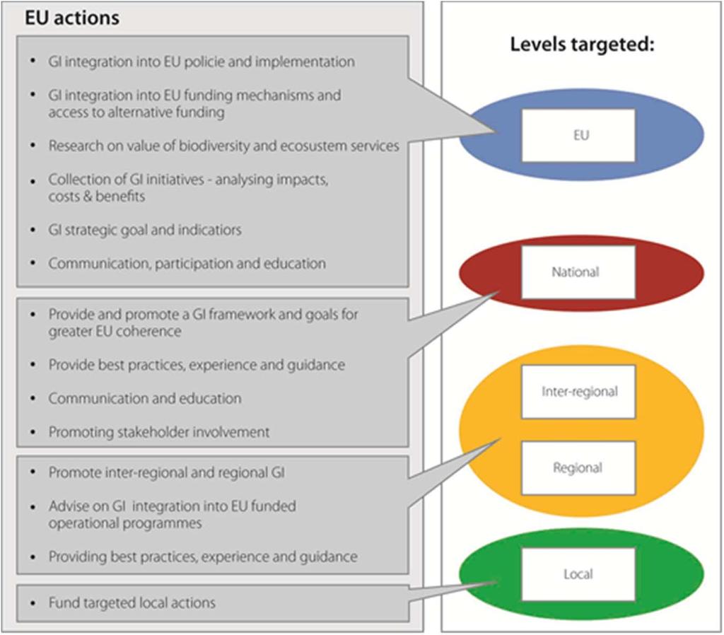 Actions on all levels Figure and text adapted from the Recommendations of the GI