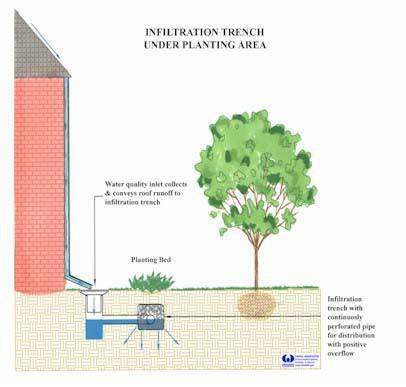 Guidelines for Infiltration Systems). The designer should consider the appropriate depth. Variations Infiltration Trenches generally have a vegetated (grassed) or gravel surface.