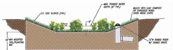 Other Considerations A Rain Garden (also called Bioretention) is an excavated shallow surface depression planted with specially selected native vegetation to treat and capture runoff. Protocol 1.