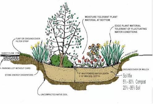 Enhances biological activity and encourages root growth Provides storage of stormwater by the voids within the soil particles Positive overflow Will discharge runoff during large storm events when