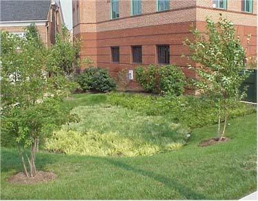 Design Considerations Rain Gardens are flexible in design and can vary in complexity according to water quality objectives and runoff volume requirements.