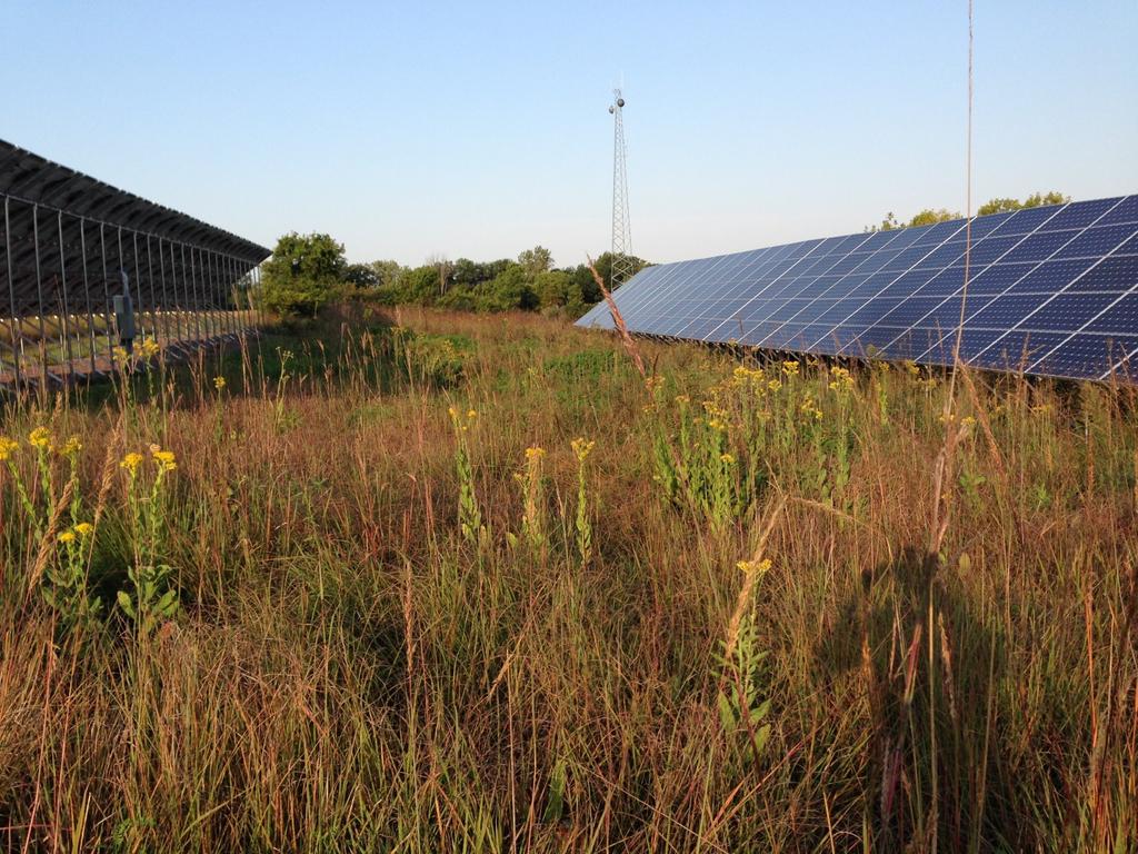 Prairie Establishment & Maintenance Technical Guidance for Solar