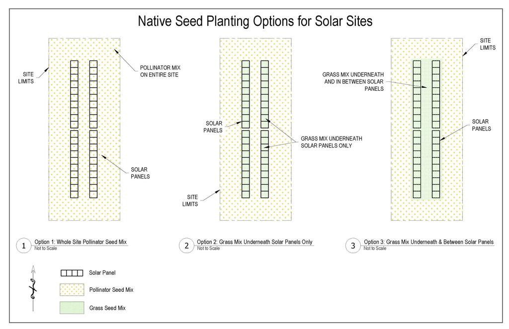 Appendix B: Native Seed Planting Layout