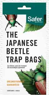 24/case 00102 Japanese Beetle Bags