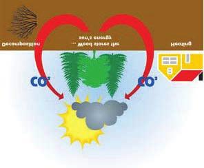 The amount of CO 2 released during burning is the same amount released by normal rotting and decay in forests and woods.