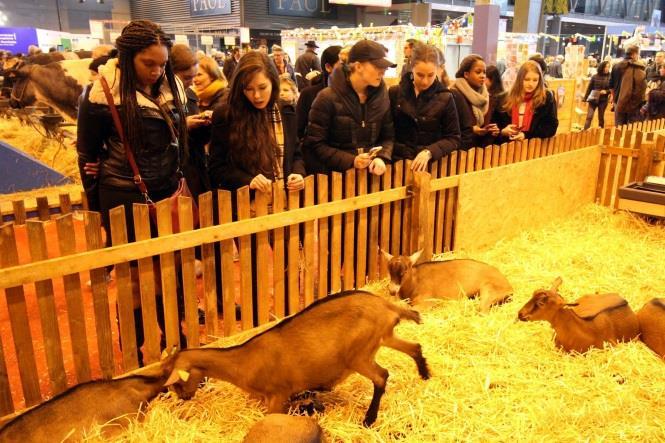 Salon de l Agriculture (Spring) The massive annual agricultural show in Paris is an opportunity for farmers hailing from all over the