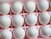 Are Eggs Eggstraordinary?
