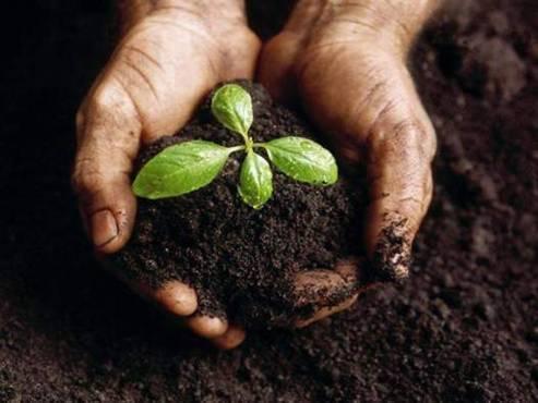 Using compost means pesticides aren t required, soil fertility