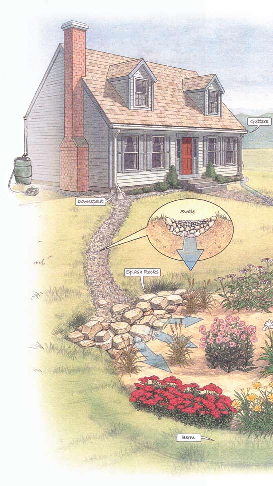 KEEP WATER ON THE LAND With increased population growth and smaller lots, much of our land is being covered with roadways, rooftops, parking lots and sidewalks that do not let water soak into the