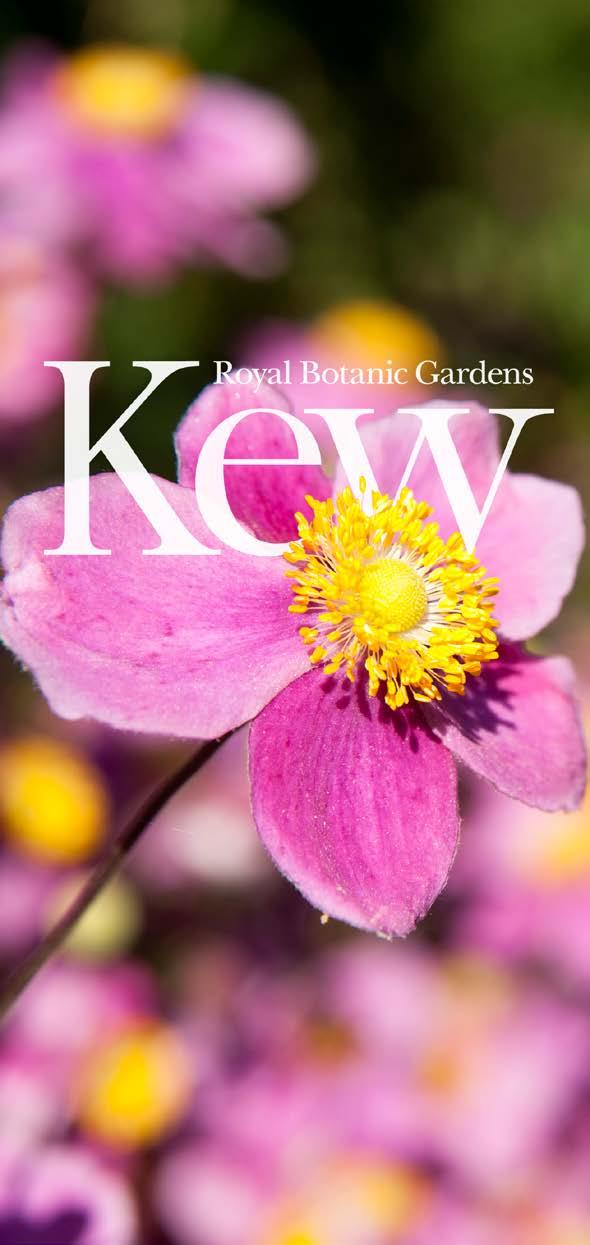 Courses at Royal Botanic Gardens, Kew