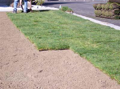 0 centimetres (1/2-1") per horizontal meter is ideal. The slope must never be less than 0.5 centimetre (1/4") per meter 7. As a general rule, a starter fertilizer should be used before installing sod.