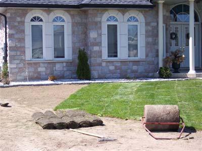 4. At row ends, in small areas, and to fit non-rectangular areas, cut the sod with a heavy duty knife or sharp straight edge shovel. 5.