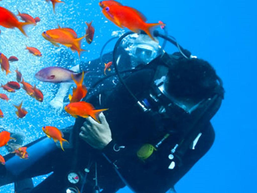 ISO Standards on diving ISO 24801 training of scuba
