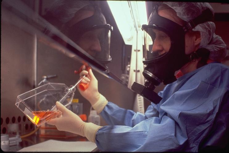 Working in the BSC Good Technique: Don protective clothing, gloves, respirator as appropriate Enter