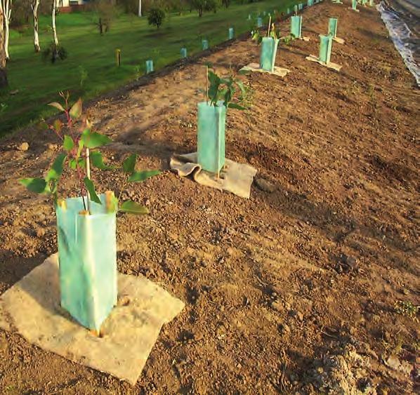 All Stake Supply has for many years supplied a range of quality products and sound advice to the Revegetation industry/community within Australia.