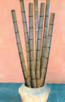 durable wood which is used for plant and tree guard supports Bamboo canes are an economical alternative to hardwood stakes for small