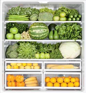 Frost-Free System Intended to eliminate the formation of ice on food and within the interior of the appliance, the Frost-Free System ensures that no defrosting is necessary.