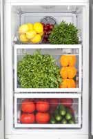 Eco-Fuzzy Function When the refrigerator doors are not opened for 6 consecutive hours and the setting are not altered, Eco-Fuzzy Function puts the refrigerator in energy-saving mode, decreasing the