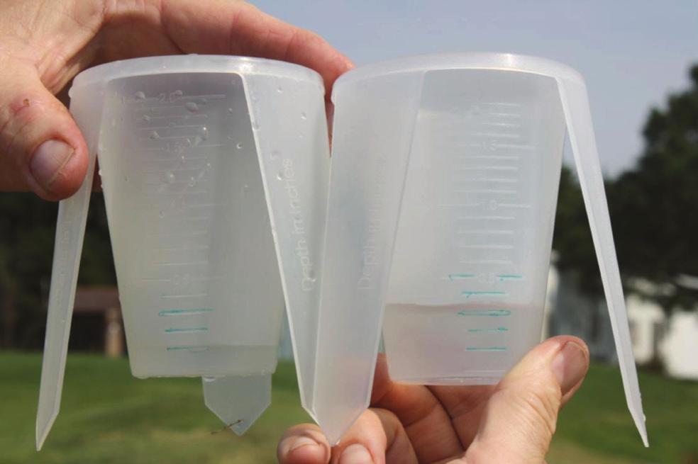 Figure 5. Note the relative uniformity of your irrigation output across the irrigation catch cup grid.