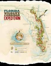 Leading the effort to define a statewide conservation network of wildlife and natural areas are Florida s Cooperative Conservation Blueprint (CCB) and State Wildlife Action Plan.