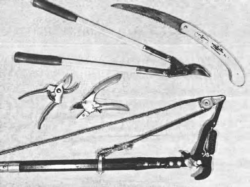 Pruning Equipment For the small orchardist or home fruit grower, hand tools provide the best and most economical pruning equipment.