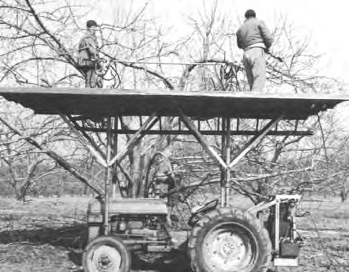 Hedging machines can be used in deciduous orchards. A hedging machine does gross pruning in a short period of time. Hedging is not a method of selective pruning; consequently.