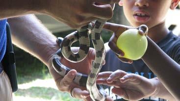 A guest visit by Josh Castleberry from Central Carolina Technical College kept campers in awe as he led a snake demonstration.