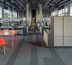 highly-frequented carpeted areas: polishing machines and wet & dry vacuums for
