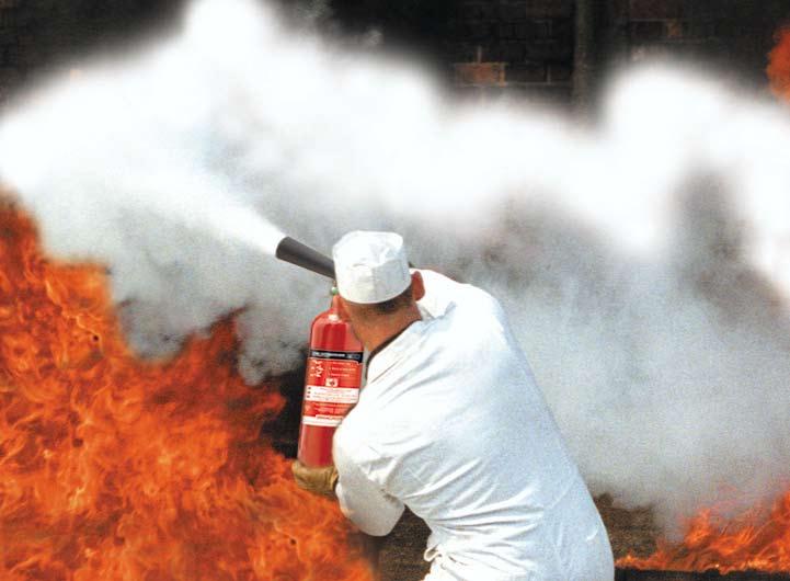 Today s materials are lighter and more durable, while every extinguisher is designed for fast and fail-safe use.