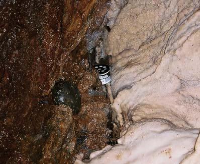 On June 6, 2006 five (5) passive detectors were put in place in Riverbend Cave (cf. appendix D).