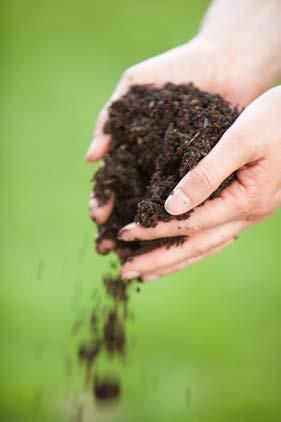 LAWN & GARDEN PRODUCTS 2014 LAWN SEEDING HELPFUL TIPS Lawn Seed Selection Several factors must be considered in selecting the proper lawn mixture for your needs.