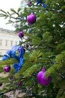 of access when decorating (if your tree is large); UCL Fire Technical Note - TN120 If you are using decorative snow, foam or glitter take care that they are not sprayed near sources of ignition and