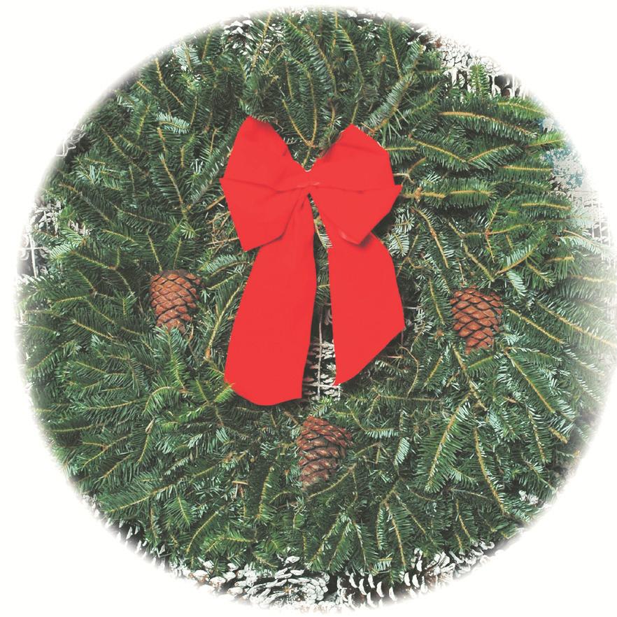 It is popular with Florists and exclusive retail stores. These are a special order item and must be ordered by November 1. Made of fresh cut boughs.