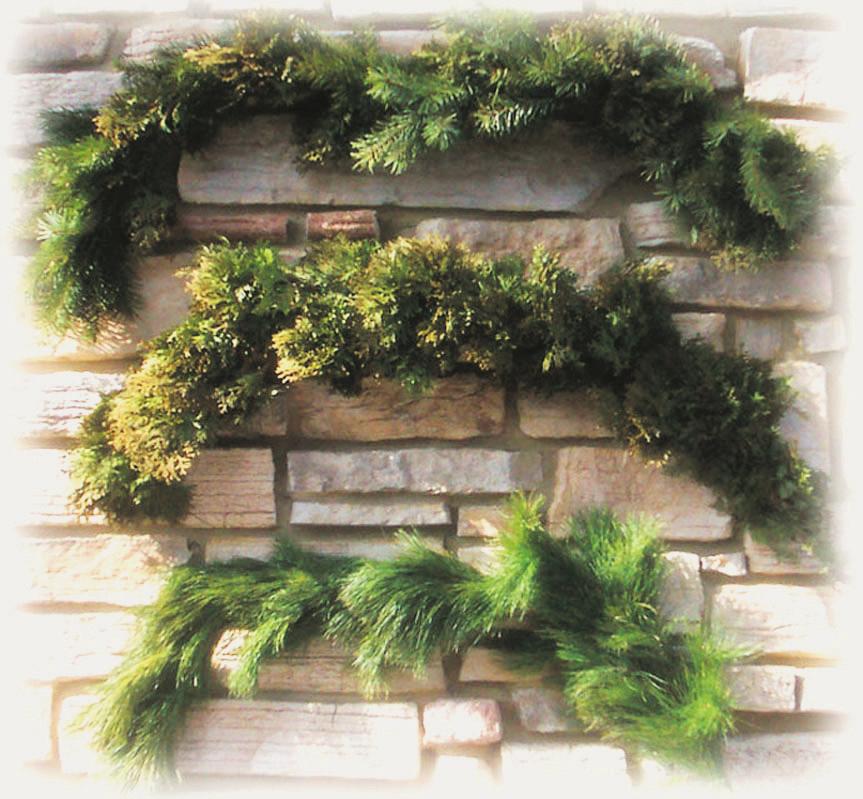 Garland Add a touch of holiday greenery indoors and out. Available in 25, 50, and 100 lengths, decorated and undecorated. Specialty Garland.