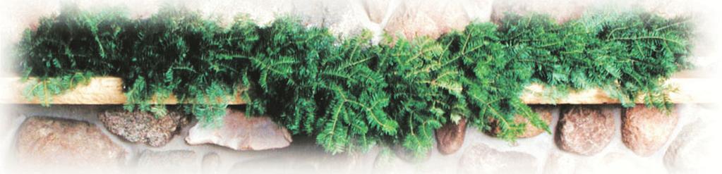 We have the best quality Balsam Fir Garland.