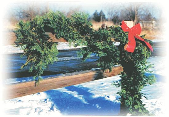 Available in 25 lengths. NOBLE GARLAND end tips of Cedar & Balsam, Cedar, or White Pine. For indoor or outdoor use, in 25 or 50 lengths.