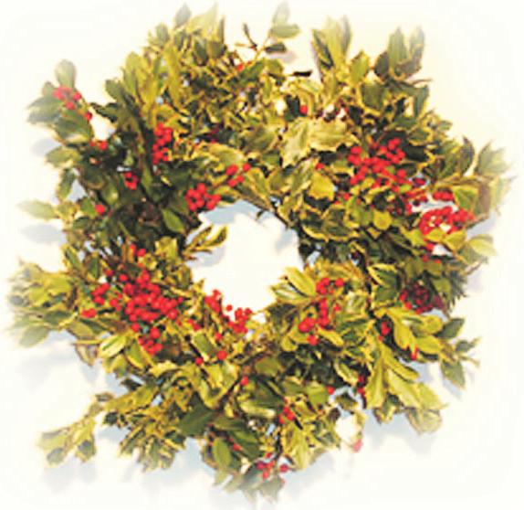Specialty Wreaths Limited order window, order early. Hand made and hand trimmed, with finest greenery Balsam Oregonia Wreath. Made of fresh cut boughs.