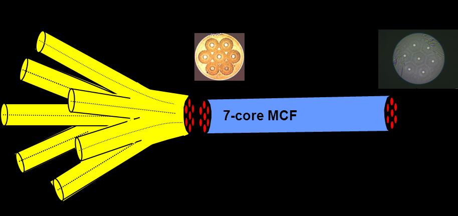 Figure 7 Tapered fiber bundle fanout connecting seven single core standard single mode fibers (SSMF) to a single multicore fiber.