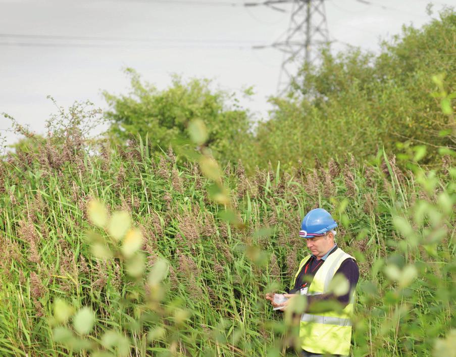 Environmental Assessments With environmental and sustainability considerations at the forefront of many planning decisions, delivering a robust Environmental Assessment is paramount to the