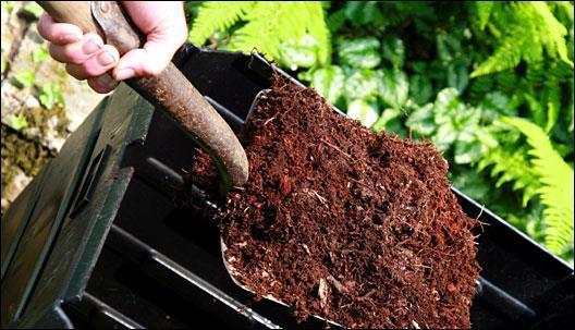 Topics Define Composting Compost as Solution to Environmental Degradation locally and globally Landfills Topsoil loss and desertification The Food Web of your