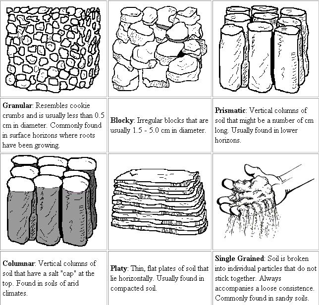 Soil Structure Arrangement of soil particles