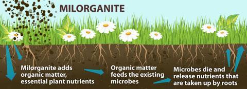 Organic vs.