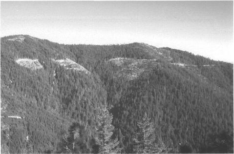 Created Openings This series of three created openings in the Klamath National Forest is located high on a mountain ridge viewed as middleground.