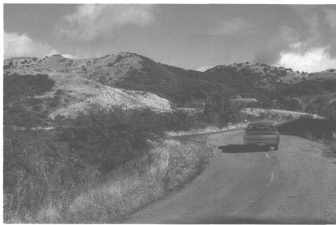 Modification Fuelbreak and Road This ridgetop fuelbreak in the Los Padres National Forest borrows forms that resemble natural patterns in this chaparral landscape.