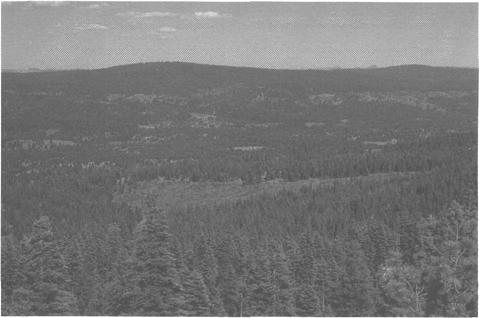 Modification Created Opening In the Malheur National Forest, a middleground created opening emulates natural patterns of the natural landscape character behind it.