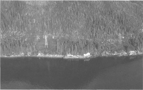 Marginally Acceptable Powerline This coastline of the Tongass National Forest in Alaska is paralleled by a major electric transmission line. The clearing width appears to be excessive.