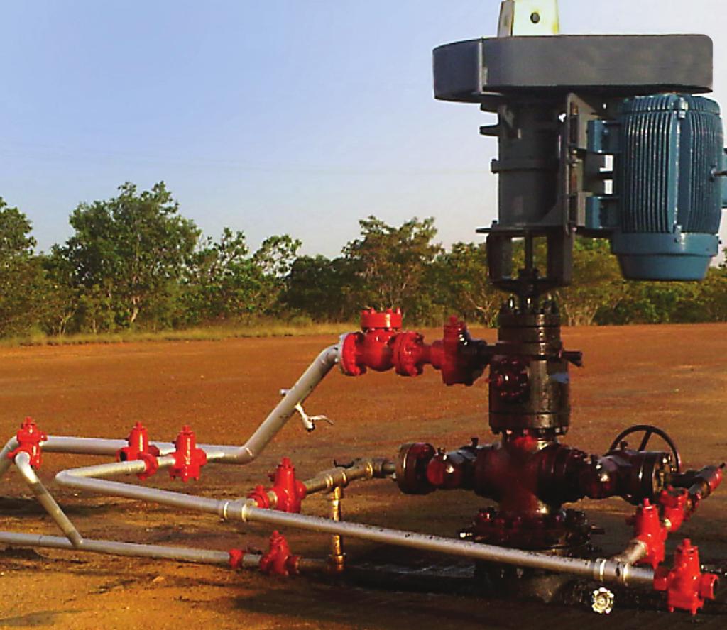 Halliburton Progressive Cavity Pumping Systems Halliburton provides the complete PCP system, including pump rotor/stator, surface drive head/motor, variable speed drive, downhole sensor, and all