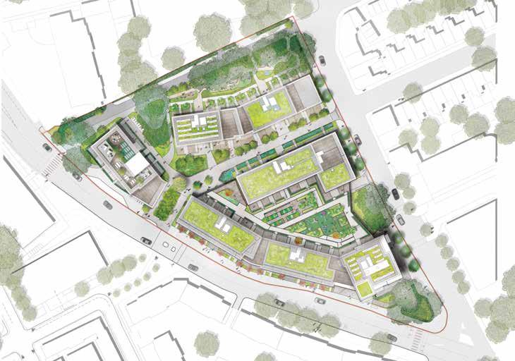 URBAN DESIGN Working in conjunction with architects drmm and developer Lendlease and based on Grant Associates masterplan, Randle Siddeley s design develops a framework divided into nine specific