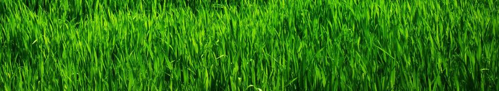 Turf Products For more product details and technical sheets, visit BioWorksInc.