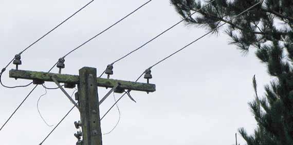 national RURAL Fire authority 11 Get rid of starlings nests from around motors and other high risk areas.